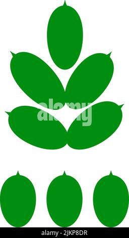 Feuilles de plantes tropicales. Les éléments isolés. Ficus Illustration de Vecteur