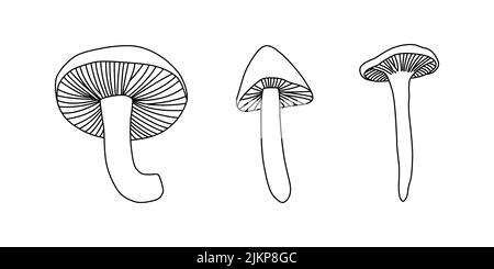 illustration avec bouton blanc d'arrière-plan de champignons isolé. Vintage. Illustration vectorielle Illustration de Vecteur