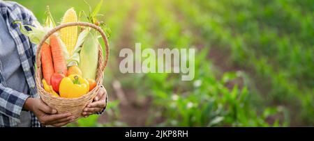 Belle jeune brunette Portrait femme Famer main tenant des légumes dans le panier de bambou sur la plante verte d'agriculture au coucher du soleil arrière-plan, frais organiques Banque D'Images