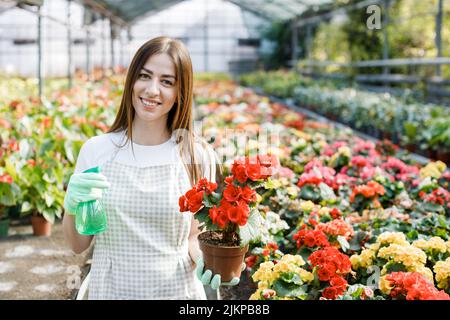 Jeune fleuriste vaporisant de l'eau sur des plantes de maison dans des pots de fleurs par pulvérisateur. Banque D'Images