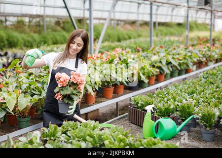 Jeune fleuriste vaporisant de l'eau sur des plantes de maison dans des pots de fleurs par pulvérisateur. Banque D'Images