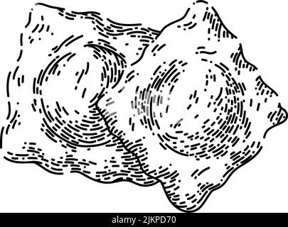 ravioli esquisse vecteur dessiné à la main Illustration de Vecteur