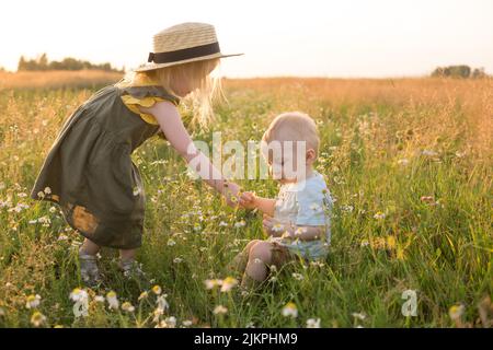 Un petit garçon et une fille cueillient des fleurs dans un champ de camomille. Le concept de la marche dans la nature, de la liberté et d'un mode de vie sain. Banque D'Images