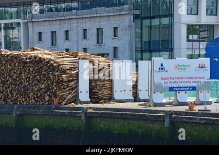 Une grosse pile de bois provenant de l'industrie de la foresty irlandaise attendant son expédition au port de Cork, Cork, Irlande. Juillet 2022 Banque D'Images