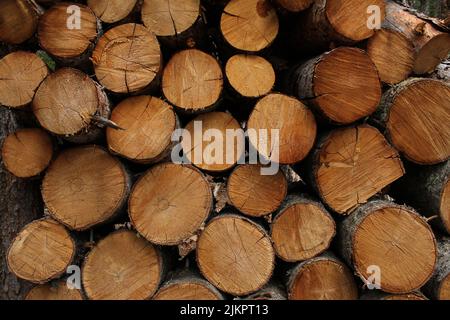 A closeup shot of pile of logs stacked on top of each other Stock Photo