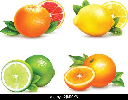 Agrumes frais entiers et demi 4 icônes réalistes carré avec illustration vectorielle isolée au pamplemousse orange et au citron Illustration de Vecteur