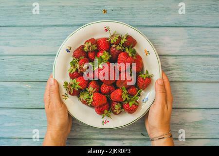 Fond de fraises.femmes mains tenant fraisier frais sur l'assiette.fraisiers fraîchement moissonnés, vue de dessus.mûre bio fraise douce.été Banque D'Images