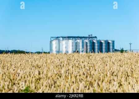 Système de silos de stockage de grain, champ de blé doré sous un ciel bleu clair d'été. Banque D'Images