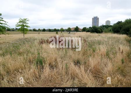 Lordship Park, Londres, Royaume-Uni. 3rd août 2022. Météo au Royaume-Uni : avertissements de sécheresse. Dry Scenes Lordship Park, nord de Londres. Crédit : Matthew Chattle/Alay Live News Banque D'Images