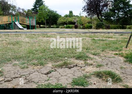 Lordship Park, Londres, Royaume-Uni. 3rd août 2022. Météo au Royaume-Uni : avertissements de sécheresse. Dry Scenes Lordship Park, nord de Londres. Crédit : Matthew Chattle/Alay Live News Banque D'Images