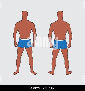 Homme musculaire adulte. Personnage impersonnel dans les boxers bleus. Vue avant et arrière. Figure mâle standard. Corriger les proportions physiques et corporelles. SL Illustration de Vecteur