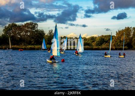 Dinton Pastures Country Park, un parc de campagne dans la paroisse civile de St Nicholas Hurst, dans le quartier de Wokinghamvin, le comté anglais du Berkshire Banque D'Images