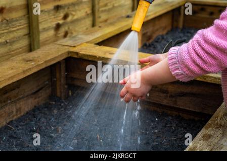 Un jeune enfant tient les mains sous le vaporisateur de tuyau d'eau dans la boîte à légumes du jardin. Banque D'Images