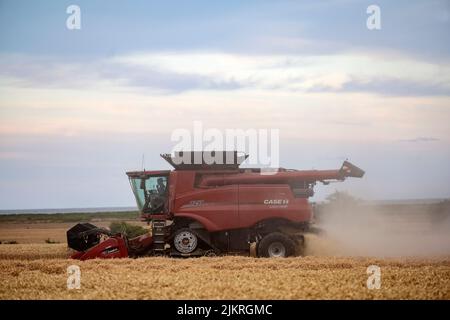 Récolte de blé 2022 Bawdsey Suffolk Angleterre Banque D'Images