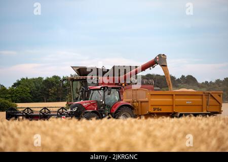Récolte de blé 2022 Bawdsey Suffolk Angleterre Banque D'Images