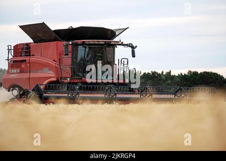 Récolte de blé 2022 Bawdsey Suffolk Angleterre Banque D'Images