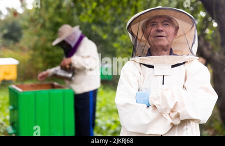 Apiculteur travaillant dans l'apiculture. Concept d'apiculture. Apiculteur récolte du miel Banque D'Images