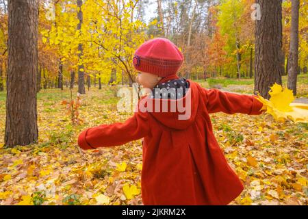 Une petite fille heureuse dans un manteau rouge jouer dans le parc d'automne tourner autour tenant les feuilles d'automne. Joyeux enfant en train de profiter de la journée d'automne. Activités de plein air pour les enfants Banque D'Images