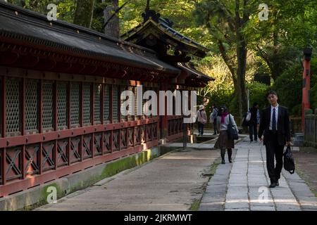 Un salaryman et des touristes marchent dans le domaine du sanctuaire de Nezu à Bunkyo Ward, Tokyo, Japon. Banque D'Images