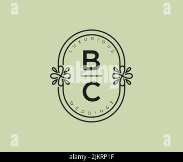 Lettre initiale de la C.-B. modèle de logos de monogramme de mariage, modèles minimalistes modernes dessinés à la main et modèles floraux pour cartes d'invitation, Save the Date, élégant Illustration de Vecteur