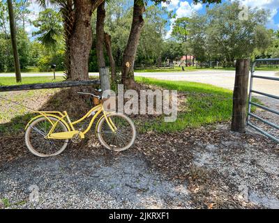 Un vélo d'époque rouillé jaune se penche contre un arbre dans une ferme. Banque D'Images