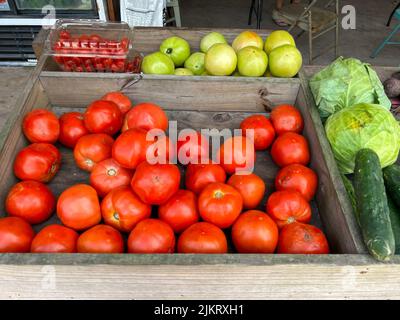 Tomates de Floride rouge vif dans un stand de fruits et légumes à Orlando, en Floride. Banque D'Images