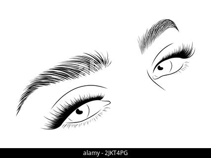 Cils réalistes sur fond blanc. Femme aux yeux ouverts et icône marron. Lamination et extension des cils. Logo du studio de beauté. Linéaire Illustration de Vecteur