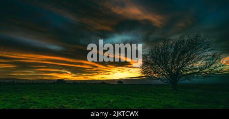 A panoramic shot of the dramatic sunset sky over a field Banque D'Images