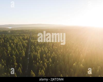 Belle prévision chargée par des rayons de soleil dorés. Banque D'Images