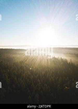 Belle prévision chargée par des rayons de soleil dorés. Banque D'Images