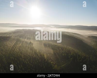 Belle prévision chargée par des rayons de soleil dorés. Banque D'Images