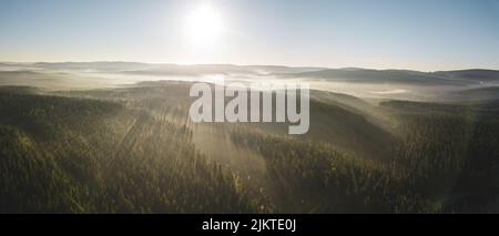 Belle prévision chargée par des rayons de soleil dorés. Banque D'Images