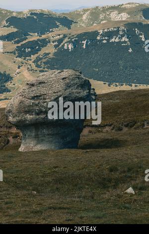 A vertical shot of big rock in background of greenery Bucegi mountains Stock Photo
