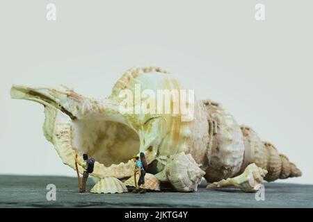 two hikers with walking sticks and backpacks are standing in front of a huge sea shell house, white background Stock Photo