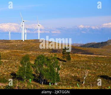 A beautiful view of green hills in Arouca mountain in Portugal with wind turbines on the hill Banque D'Images