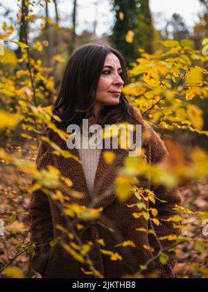 Vue sur une jolie femme à travers quelques feuilles dans une forêt en automne. Banque D'Images