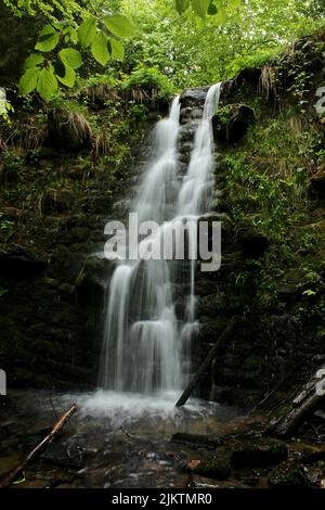 Un plan vertical d'une cascade qui coule le long des rochers couverts de mousse verte et d'arbres Banque D'Images