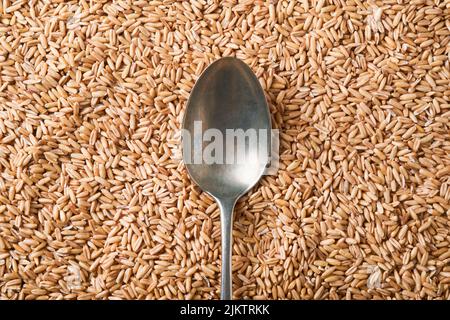 La cuillère vide repose sur les grains de blé ou d'avoine. Problèmes liés à l'offre de blé et de farine, à l'offre alimentaire mondiale et à la faim concept de crise mondiale. Maquette. Banque D'Images