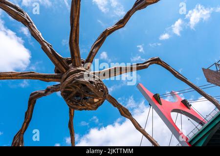 Détail de la sculpture d'araignée à côté du musée Guggenheim dans la ville de Bilbao, le matin du printemps, Vizcaya. Pays Basque Banque D'Images