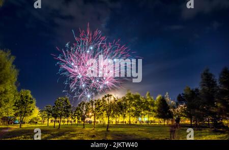 Colorful bright fireworks splashing in the blue sky over the park in Russia Banque D'Images