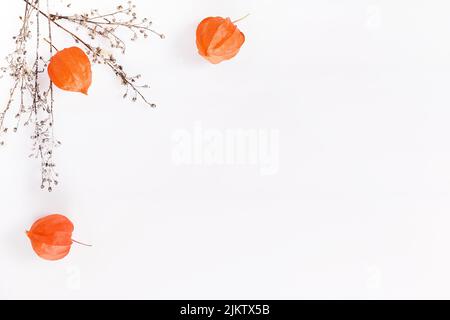 Composition d'automne faite de physalis orange et de brindilles d'automne sèches sur fond blanc. Automne, automne concept Banque D'Images