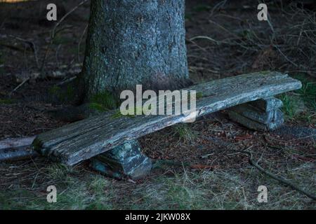 A closeup shot of an old gray bench covered with moss by a big tree in the park during daytime Banque D'Images