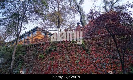 A beautiful view of colorful autumnal plant leaves and trees by an old stone fence in the park on a sunny day in Santiago, Chile Banque D'Images