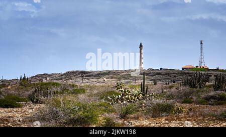 Vue lointaine sur le célèbre phare de Californie sur l'île d'Aruba, au sommet d'une colline avec le désert, les arbustes et les cactus en premier plan. Banque D'Images