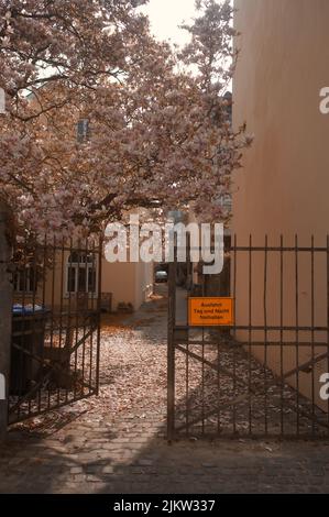 A vertical shot of an orange sign in German translated 'Keep The Exit Clear' on a fence by a magnolia tree Stock Photo