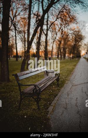 Un gros plan vertical d'un banc en bois dans le parc pendant le coucher du soleil Banque D'Images