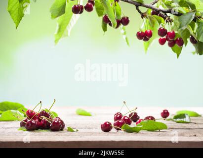 Cerises sur la table de jardin. Cerises rouges sur des branches de cerises et une table vide en bois. (mise au point sélective) Banque D'Images