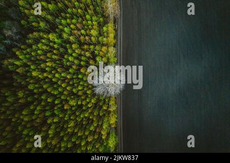 vue de haut en bas d'un champ Banque D'Images