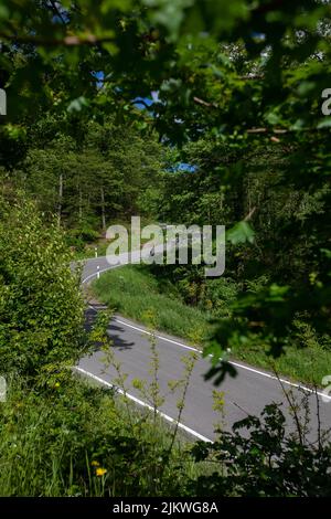 Une photo verticale d'une autoroute entourée d'arbres. Banque D'Images