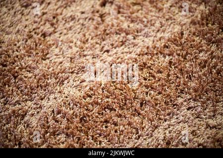 A close-up full frame of a brown carpet. Banque D'Images